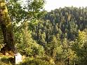 Le Saint-Mont depuis le Morthomme, avec la borne limite entre Saint-Etienne et Saint-Amé